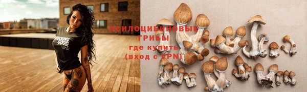 PSILOCYBIN Магадан