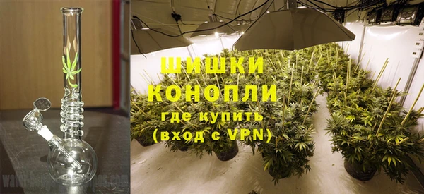 PSILOCYBIN Магадан