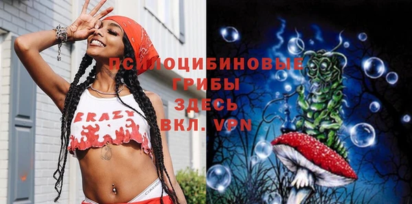 PSILOCYBIN Магадан