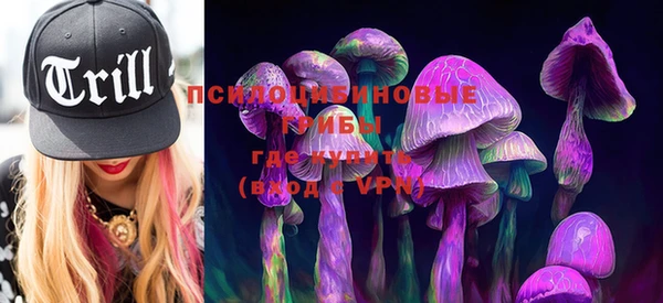 PSILOCYBIN Магадан