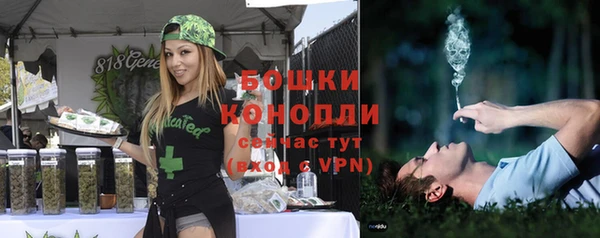 мяу мяу кристалл Магас