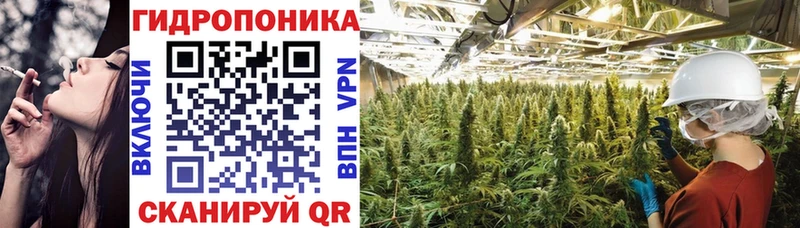 Шишки марихуана сатива  Купить  Боровск 